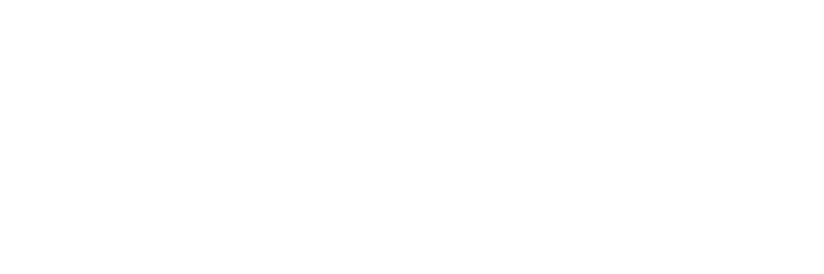 GESTOR